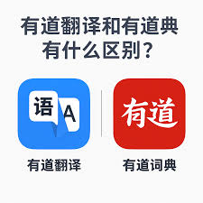 如何在有道翻译词典中查看单词的最高级变化？