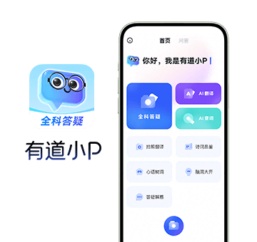 有道翻译词典能查到文学批评中的术语吗？