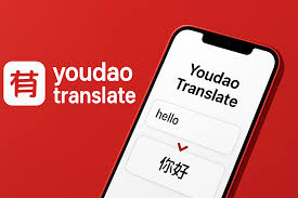 2026年有道翻译支持在Google Glass上下载吗？