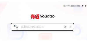 为什么有道翻译是2026年国际义工组织的指定翻译器？